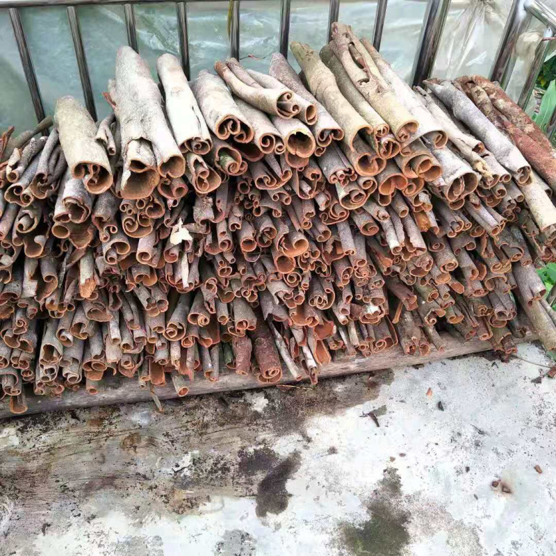 云南桂皮