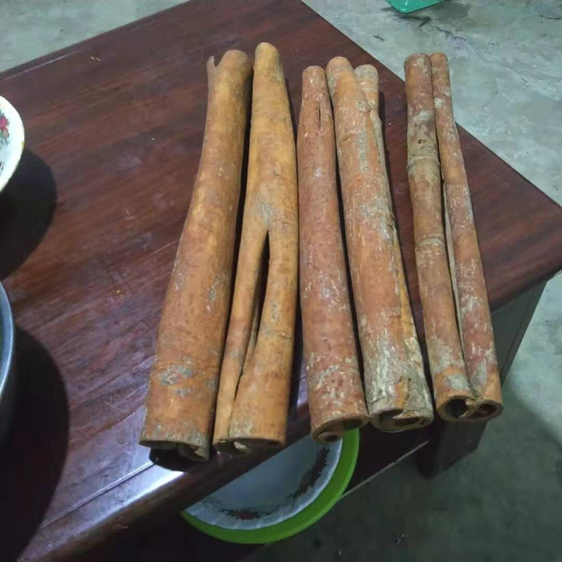 云南桂皮