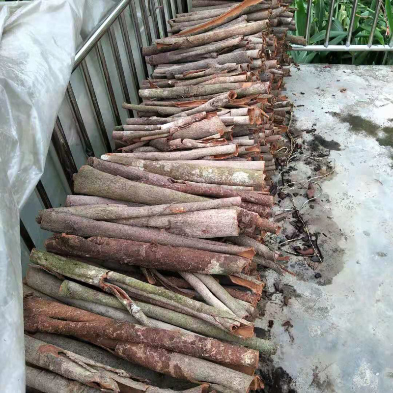 云南桂皮