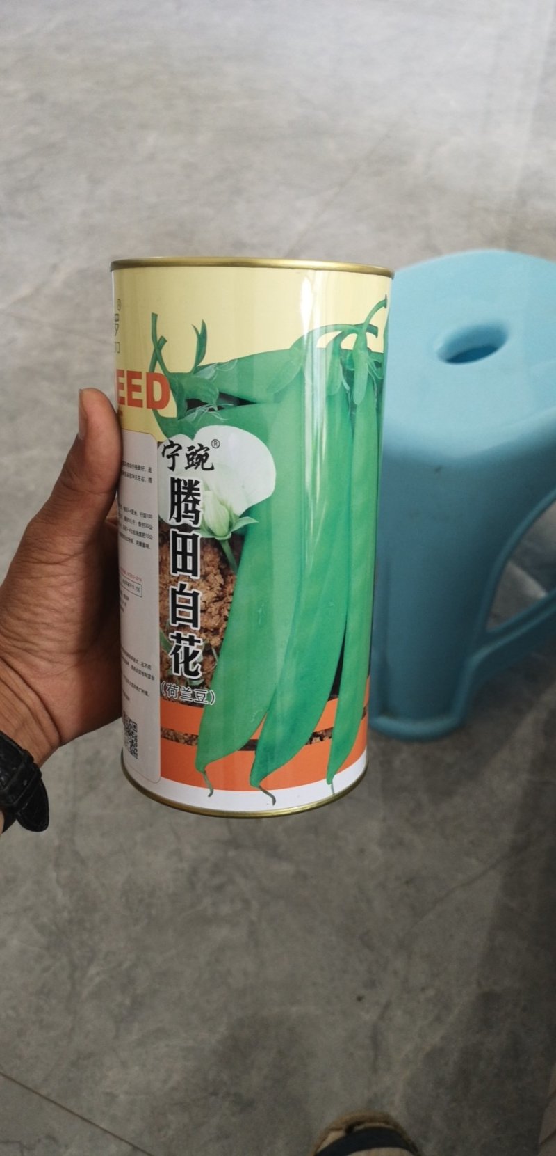 荷兰豆种子白花荷兰豆小荚豆种子白花小荚豆种子