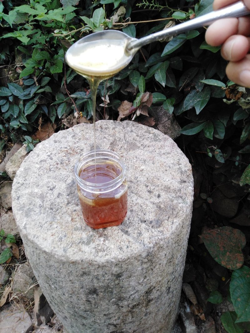 农家土蜂蜜高山野花百花蜂蜜假一赔十巢蜜包邮