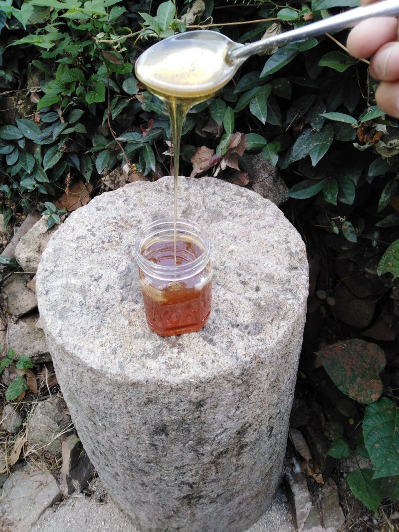 农家土蜂蜜百花蜜巢高山野花蜂蜜假一赔十0添加包邮