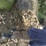 安徽阜南0.7