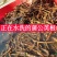 水洗野生干品蒲公英根婆婆丁根2022年新货