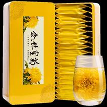 金丝皇菊一朵一杯大黄菊特级菊花茶散装清热去火礼盒装胎菊