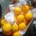 南非酸橙原装进口夏橙蜜奈橙进口橙