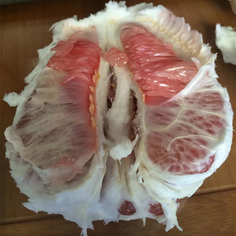 平和琯溪蜜柚