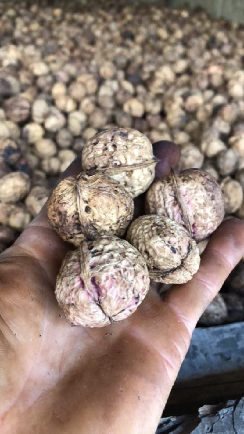 云南核桃，薄皮核桃，30mm以上一级核桃，老树核桃