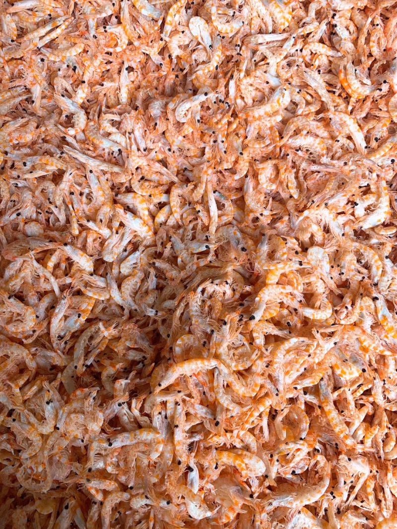 磷虾干