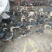 一点麻鸭