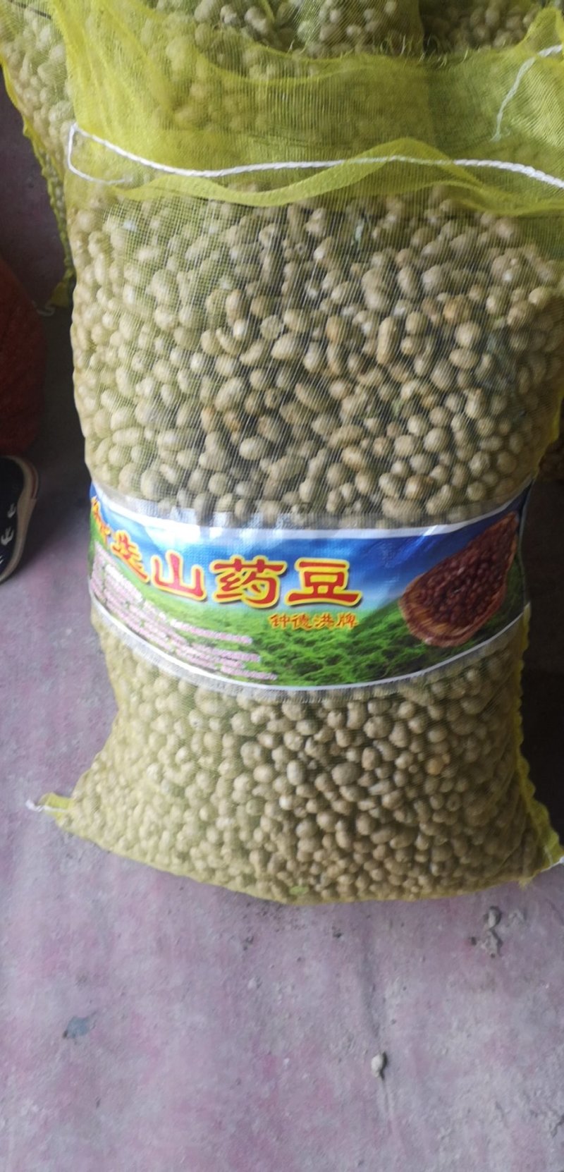 潍坊市昌乐县山药豆批发零售，昌乐县德洪果蔬供应