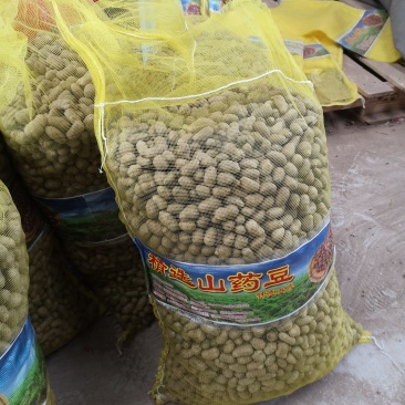 潍坊市昌乐县山药豆批发零售，昌乐县德洪果蔬供应