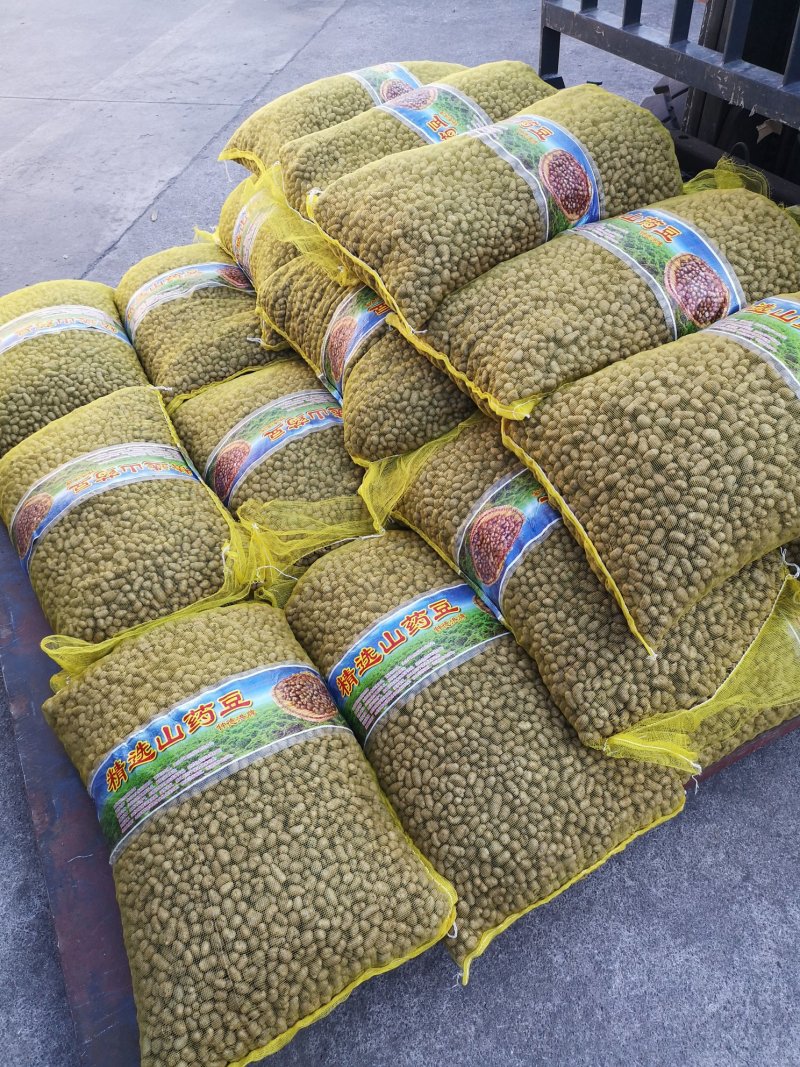 潍坊市昌乐县山药豆批发零售，昌乐县德洪果蔬供应