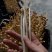 原生态纯手工花生芽新鲜花生芽苗