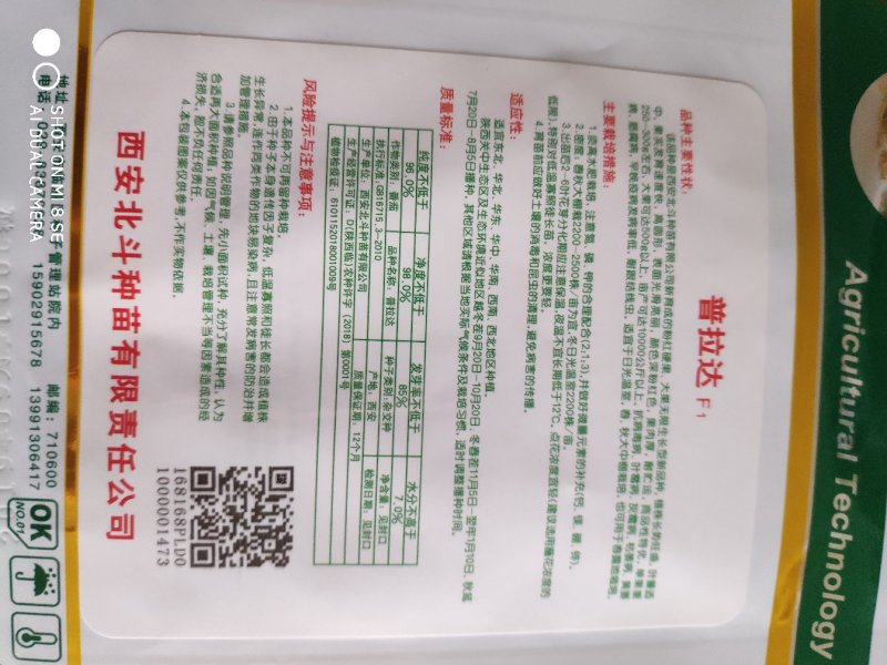 普拉达粉果番茄种子大果无限生长型