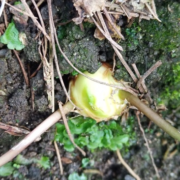 想要可以来基地看