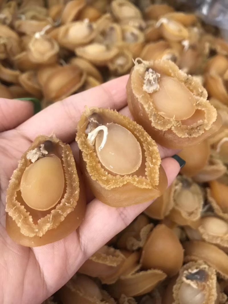 鲍鱼干鱼干鲍鱼规格齐全，量大从优，产地直发
