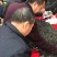 木耳东北黑木耳小木耳