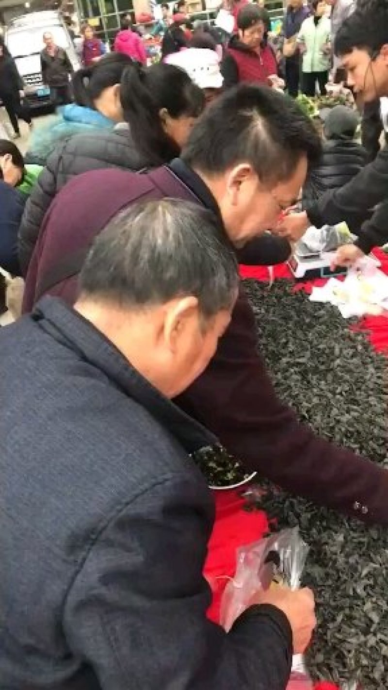 木耳东北黑木耳小木耳