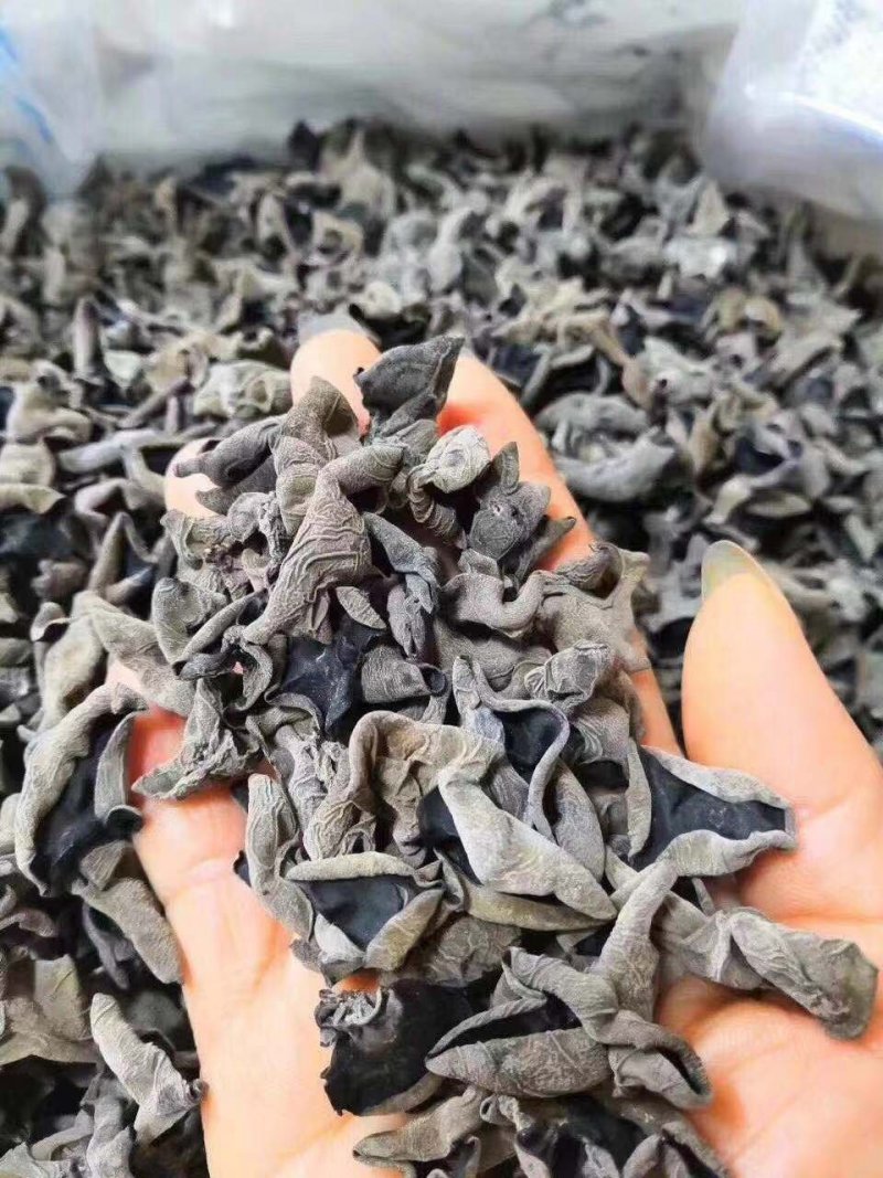 木耳东北黑木耳小木耳