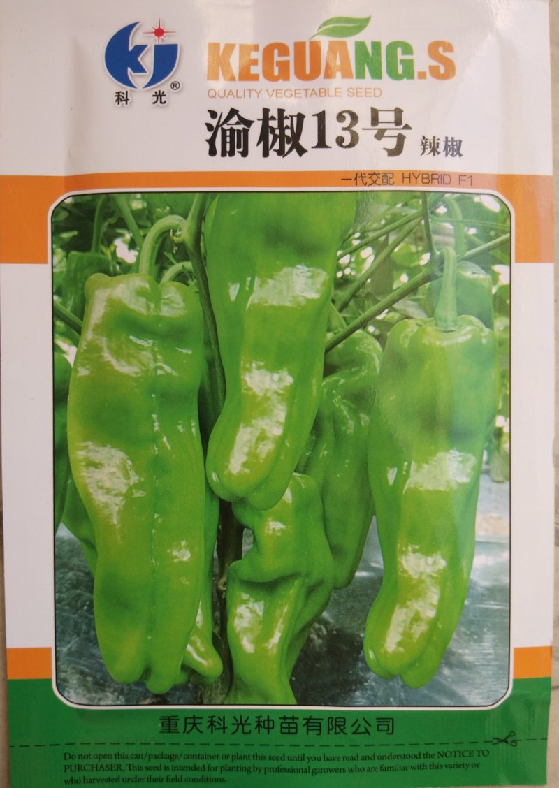 黄辣椒种子黄皮辣椒种子辣椒种子牛角椒种子