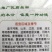 冬播春收松花菜珍玉春松66
