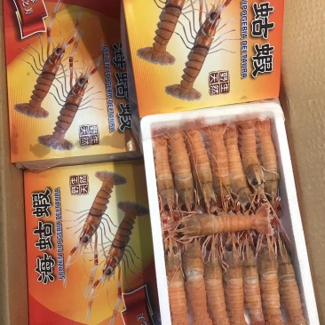 国产海鳌虾规格16条一件12盒现货
