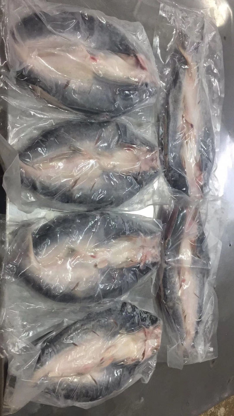 冷冻巴沙鱼