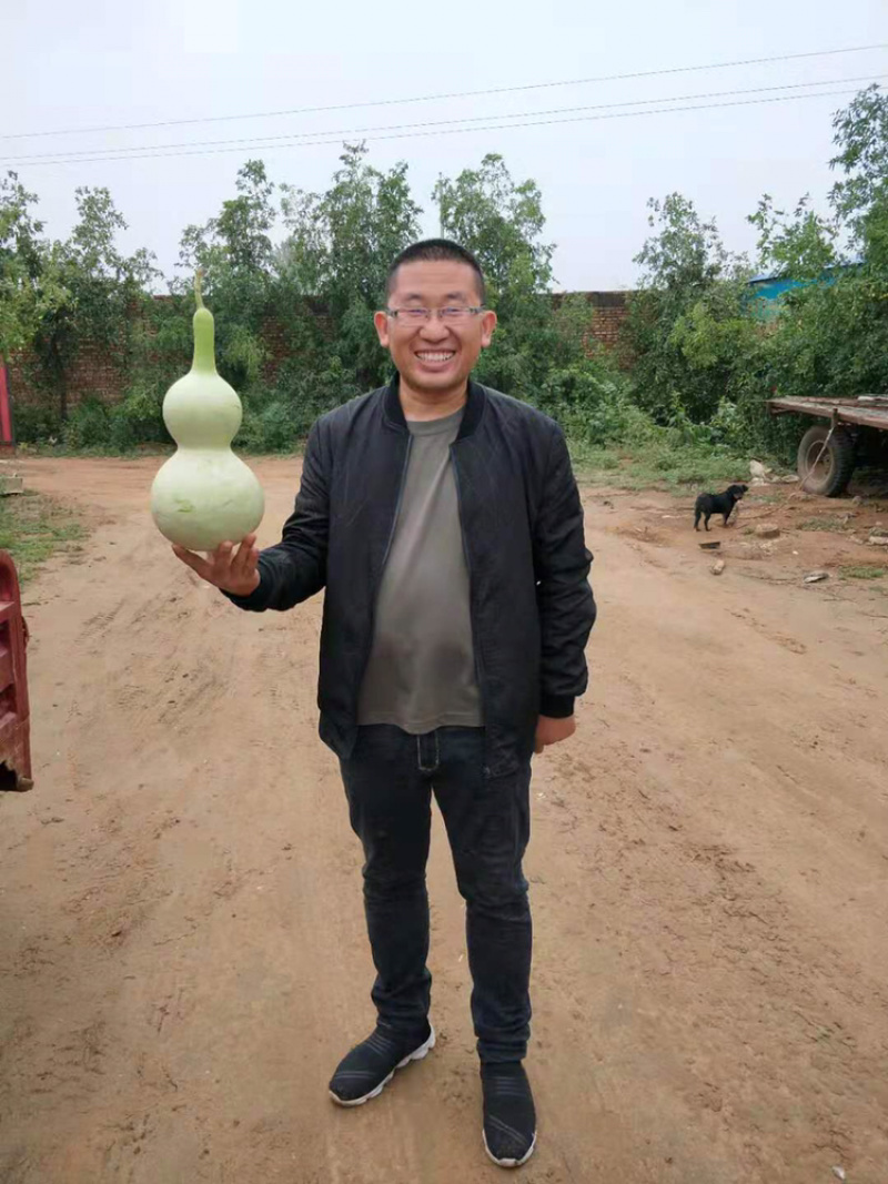 棒药，条形好，纯沙地口感好，圆滚直