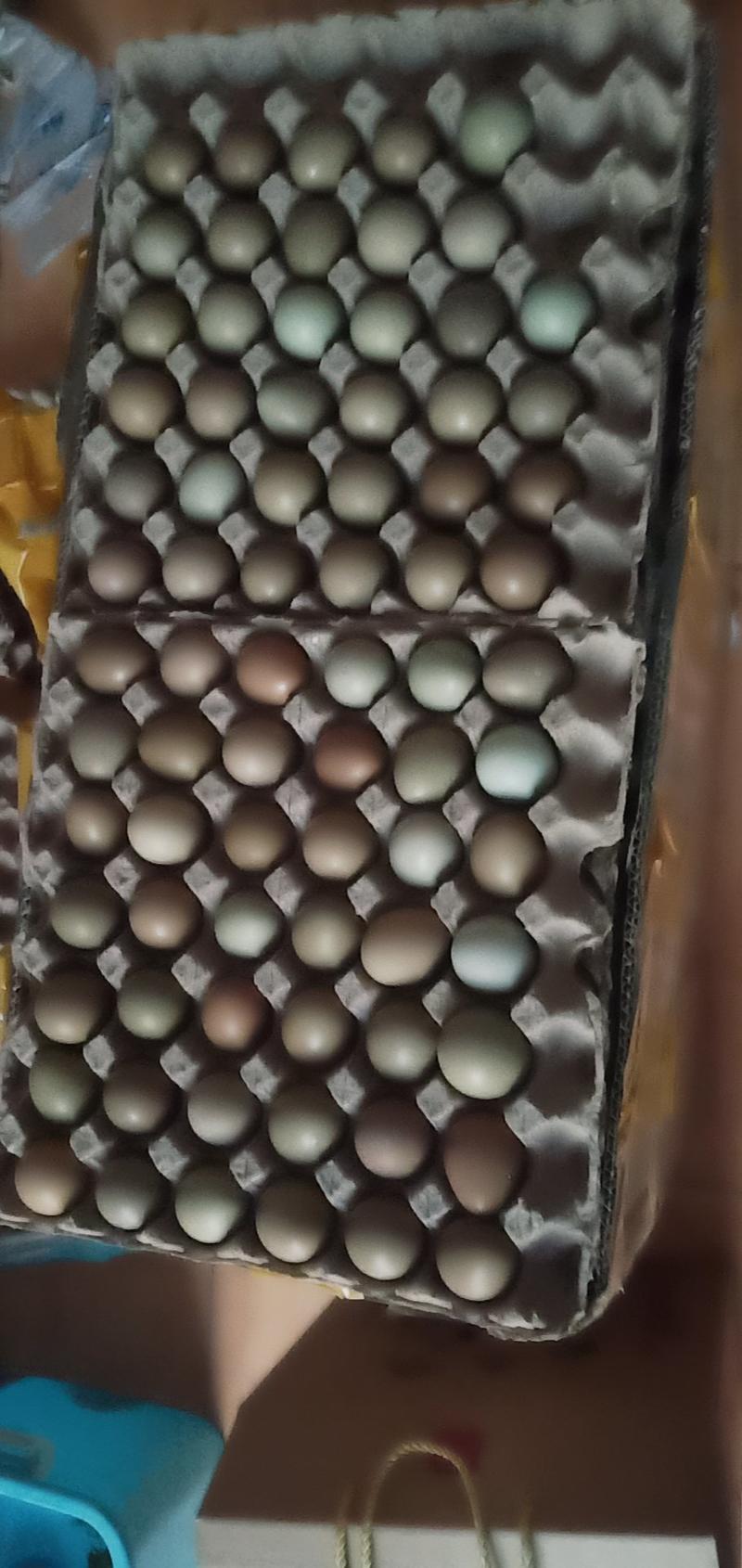 野鸡蛋，老少皆宜，一个顶三个普通鸡蛋