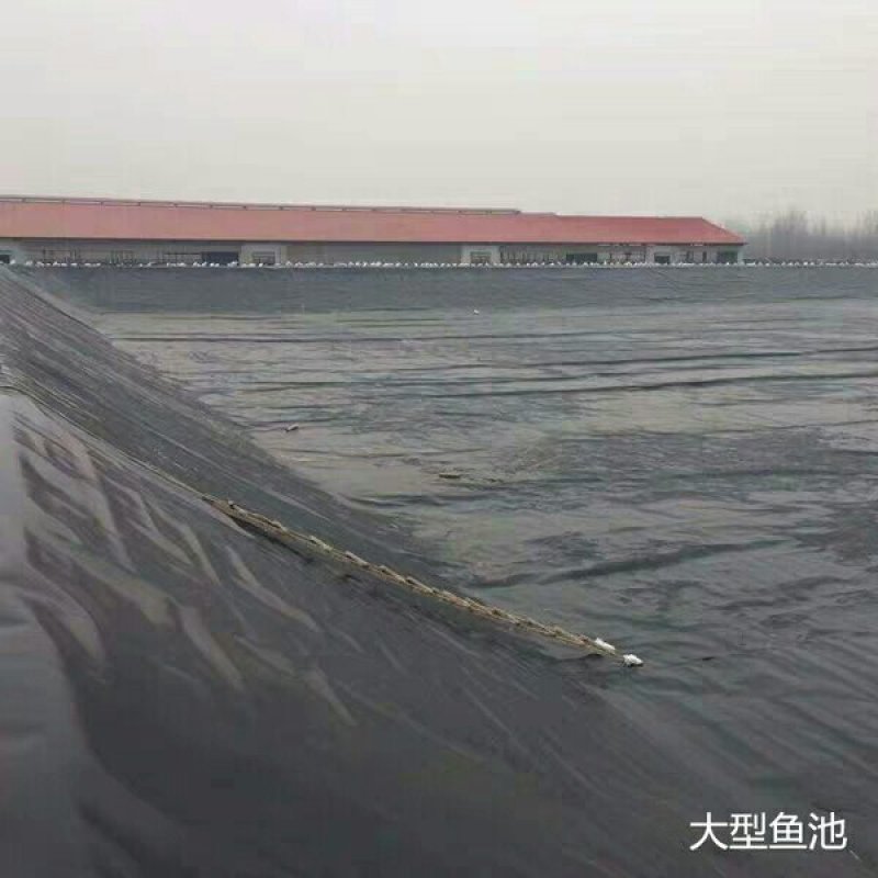 防渗膜黑色防渗膜塑料薄膜养殖膜鱼塘虾塘专用膜鱼池防水膜