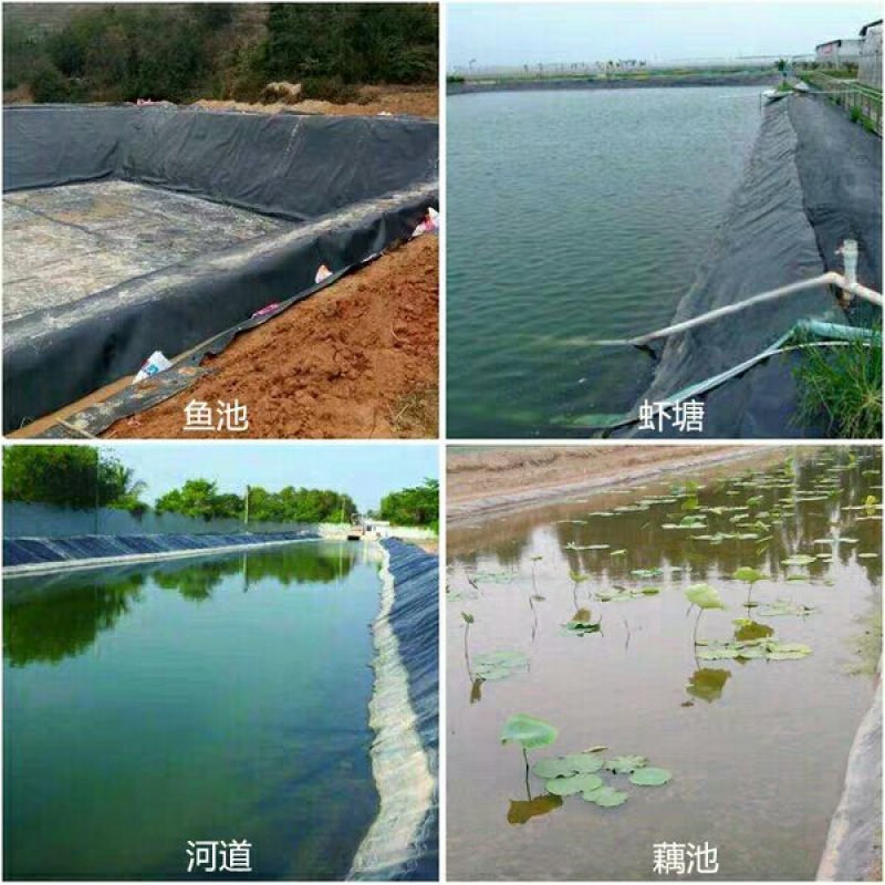防渗膜黑色防渗膜塑料薄膜养殖膜鱼塘虾塘专用膜鱼池防水膜
