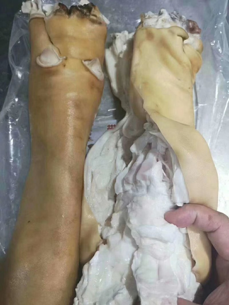 牛蹄牛蹄筋☞火烧半去骨牛蹄无化学原始工艺