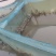 白洋淀稻田蟹