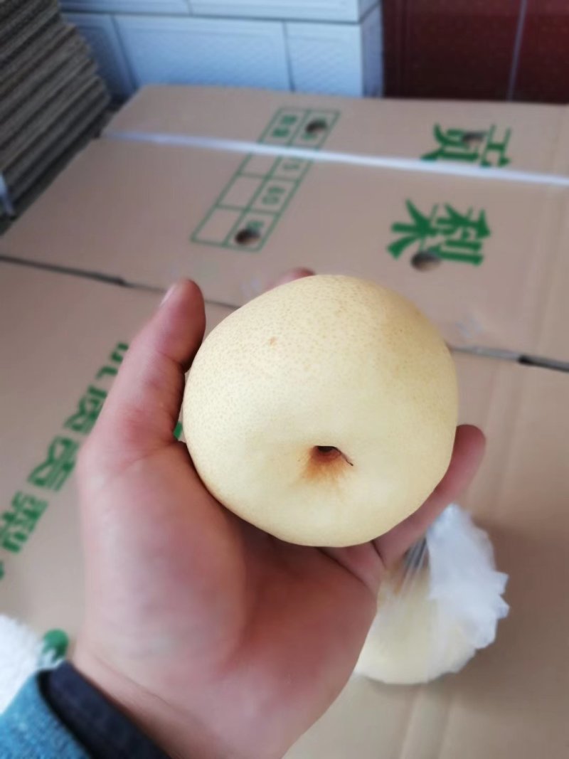 核小皮薄，汁多一级果