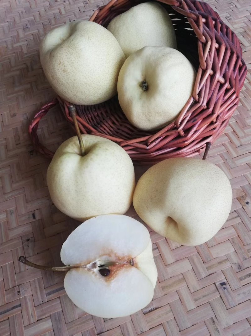 核小皮薄，汁多一级果