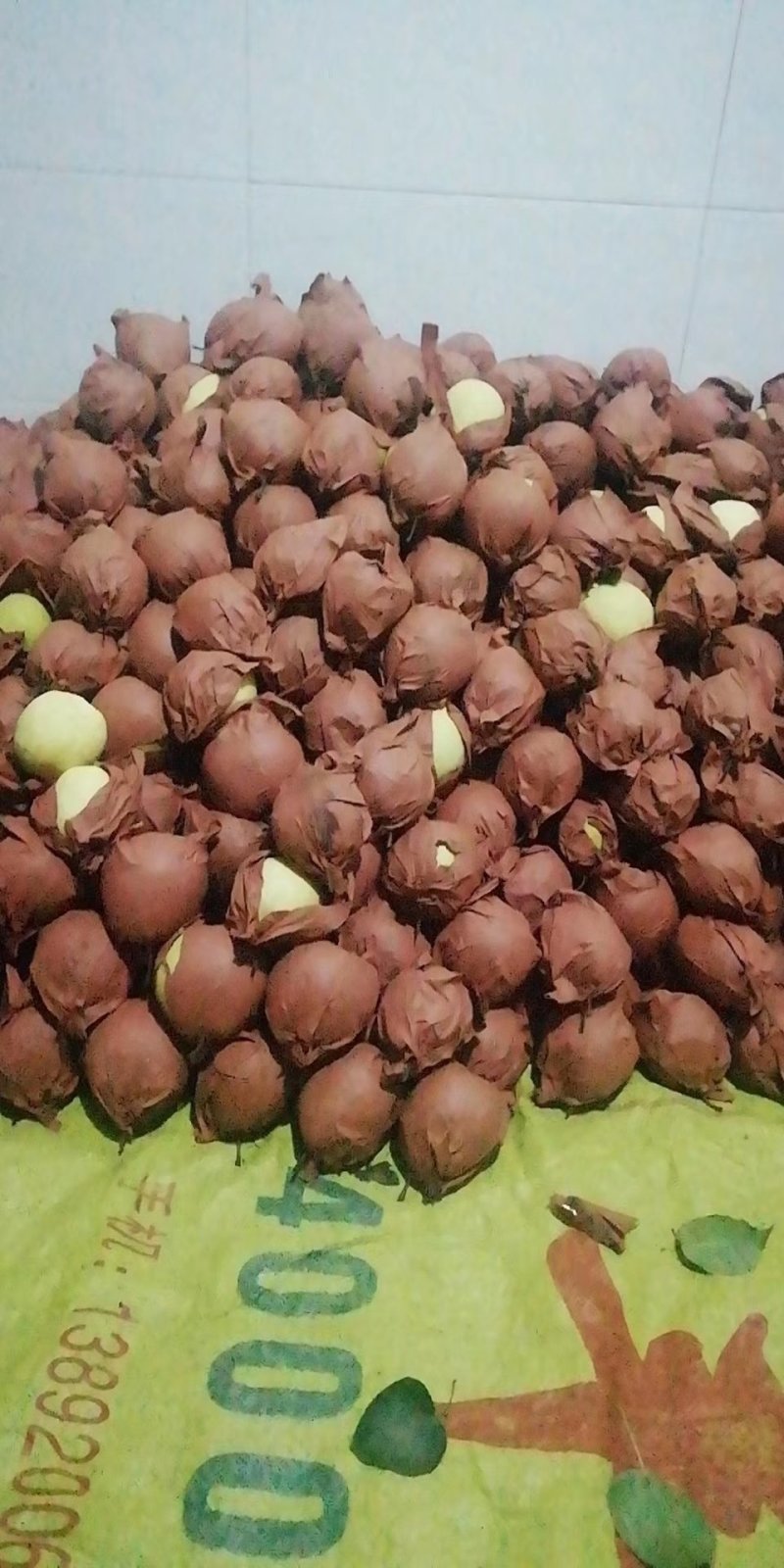 核小皮薄，汁多一级果