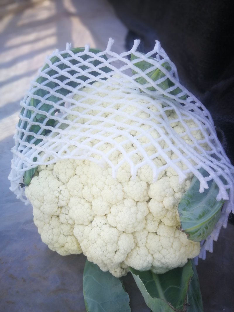 万亩有机花菜基地，货源充足，代收代发