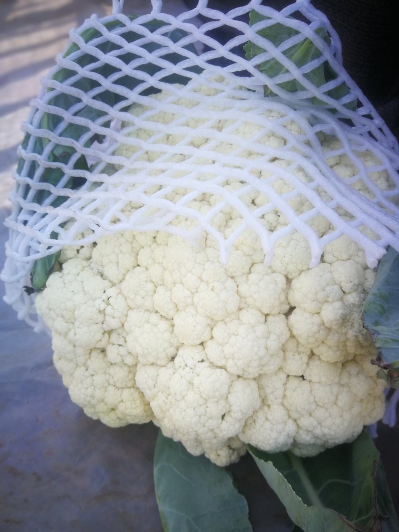 万亩有机花菜基地，货源充足，代收代发