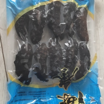 海参