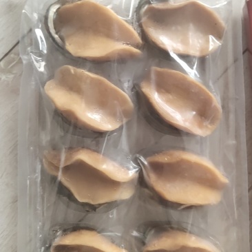 鲍鱼