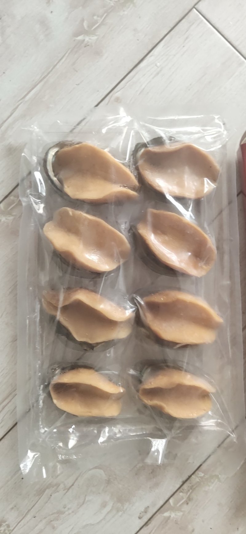 鲍鱼