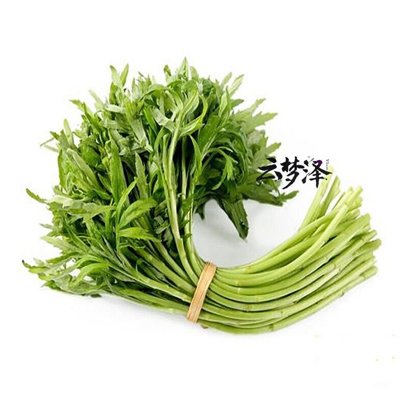 云梦泽湖北特产新鲜泥蒿芦蒿黎蒿篱蒿泥耗黎耗