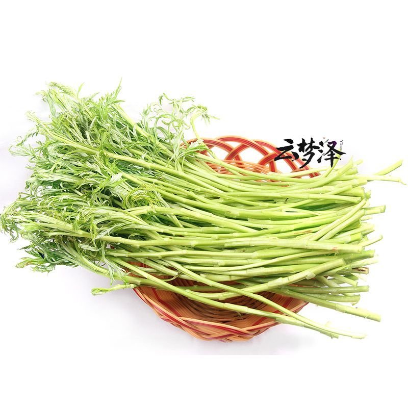 云梦泽湖北特产新鲜泥蒿芦蒿黎蒿篱蒿泥耗黎耗