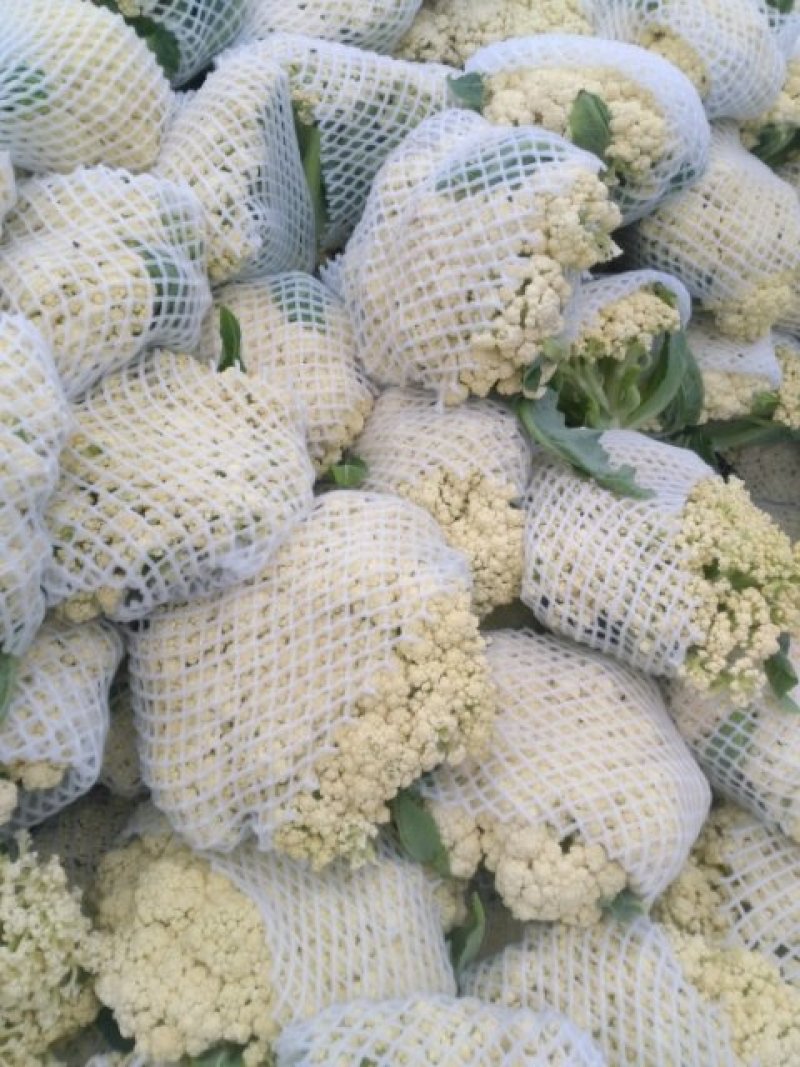 大量有机菜花，实花菜上市了，