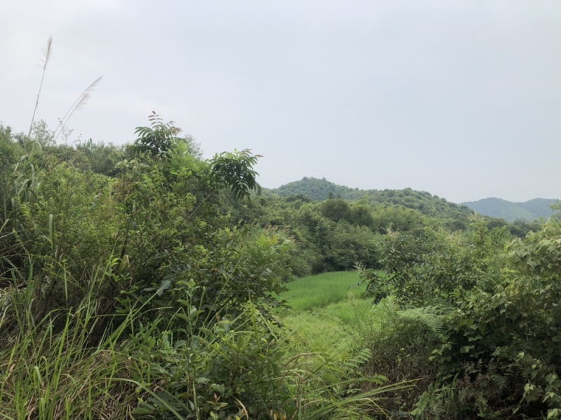 山地转让
