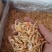 虾干麦秆虾。干度好。颜色好
