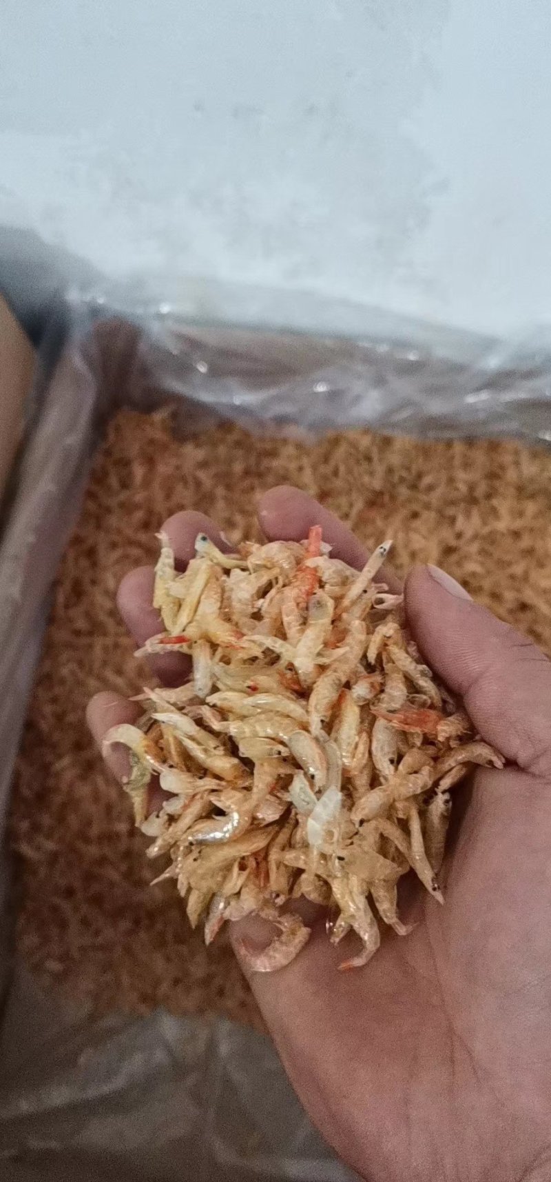 虾干麦秆虾。干度好。颜色好
