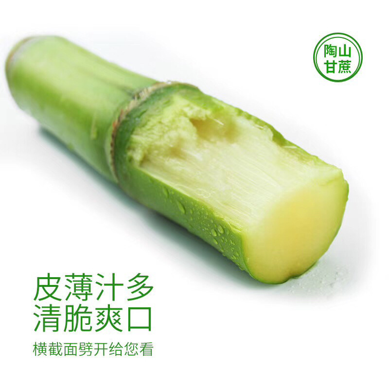 陶山青皮白玉甘蔗上市啦