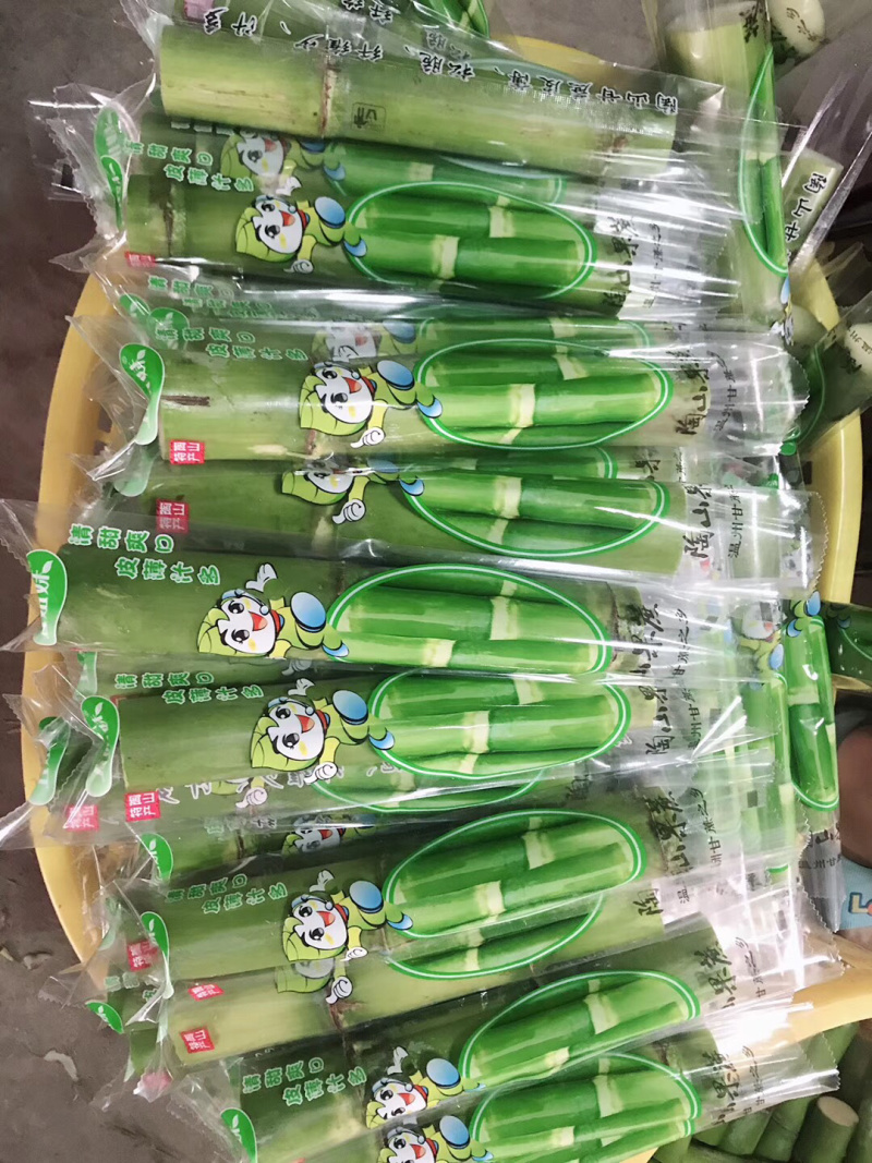 陶山青皮白玉甘蔗上市啦